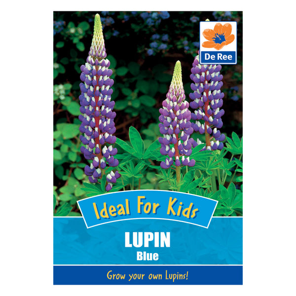 Lupin Blue Lupin Blue