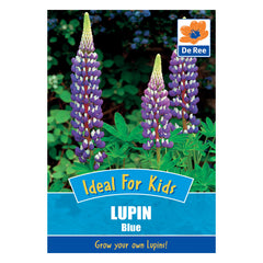Lupin Blue