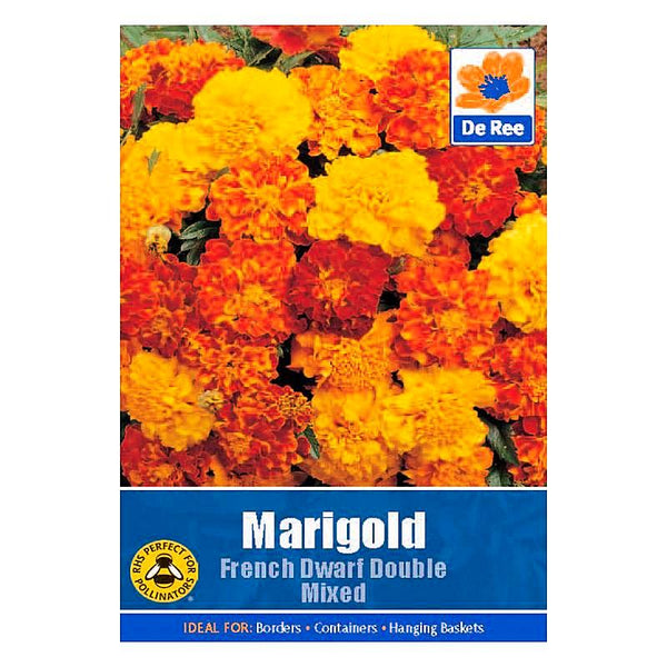 Marigold French Dwarf Double Mixed Marigold French Dwarf Double Mixed