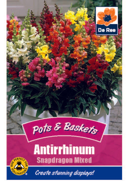Antirrhinum Snapdragon Mixed Antirrhinum Snapdragon Mixed