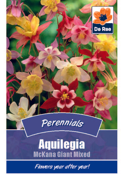 Aquilegia McKana Giant Mixed Aquilegia McKana Giant Mixed