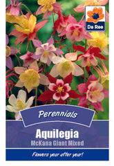 Aquilegia McKana Giant Mixed