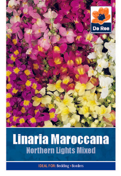 Linara Maroccana Northern Lights Mixed Linara Maroccana Northern Lights Mixed