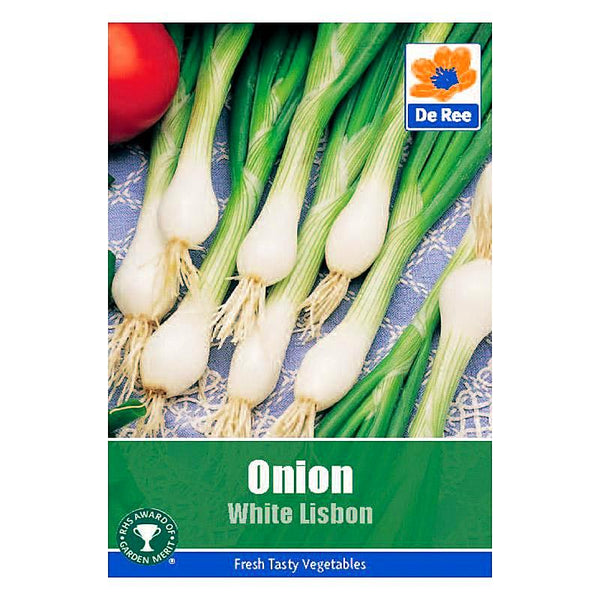 Onion White Lisbon Onion White Lisbon