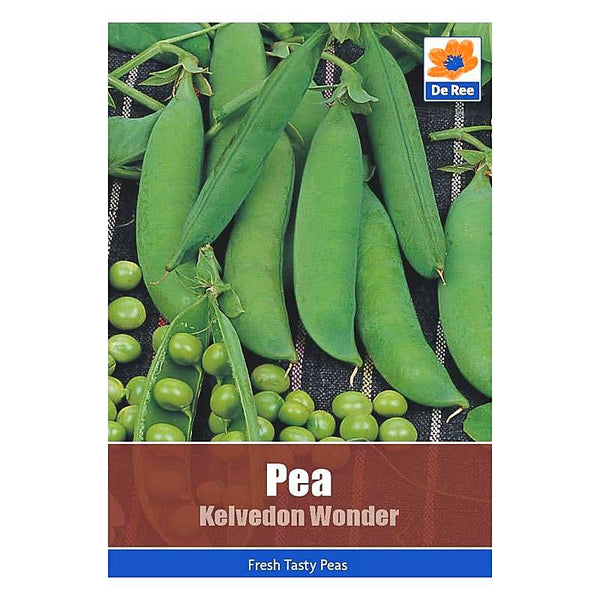 Pea Kelvedon Wonder Pea Kelvedon Wonder