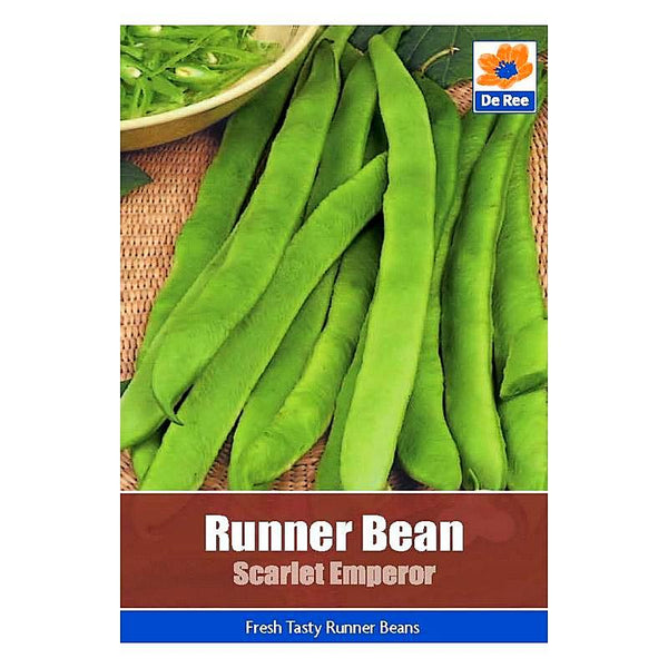Runner Bean Scarlet Emperor Runner Bean Scarlet Emperor