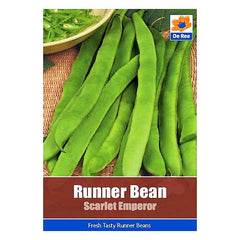 Runner Bean Scarlet Emperor