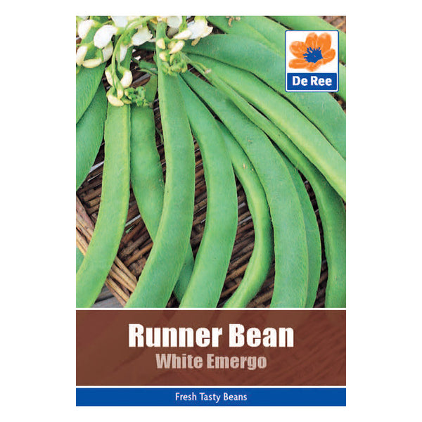 Runner Bean White Emergo Runner Bean White Emergo