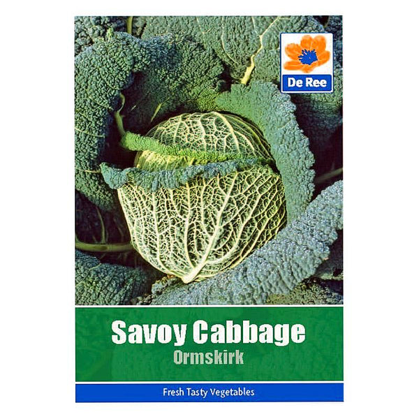 Savoy Cabbage Savoy Cabbage