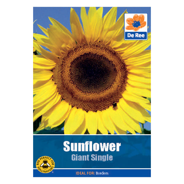 Sunflower Giant Single Sunflower Giant Single