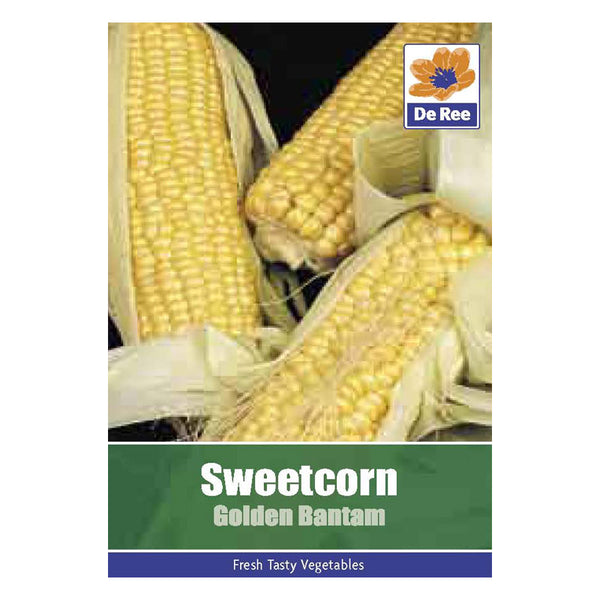 Sweetcorn Golden Bantam Sweetcorn Golden Bantam
