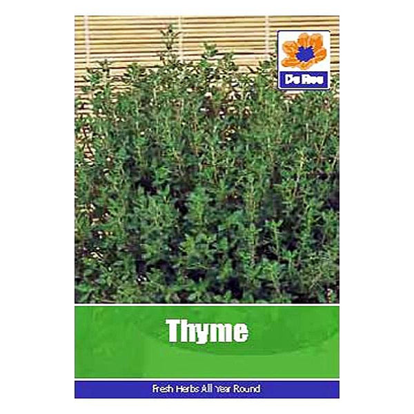 Thyme Thyme