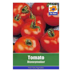 Tomato Moneymaker