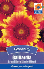 Gaillardia