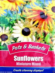 Sunflowers Miniature Mixed