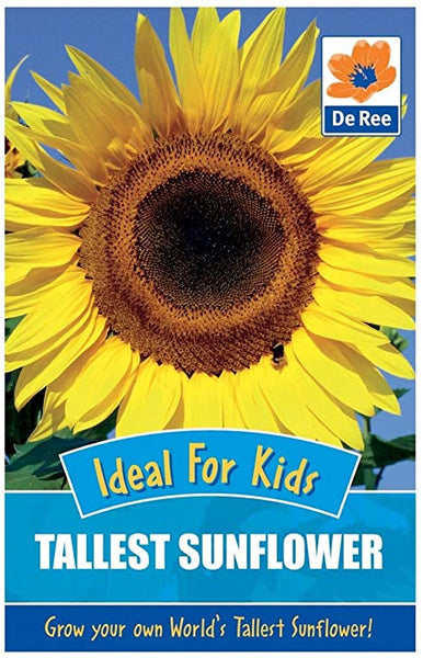 Sunflower Tallest Sunflower Sunflower Tallest Sunflower