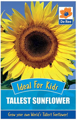 Sunflower Tallest Sunflower