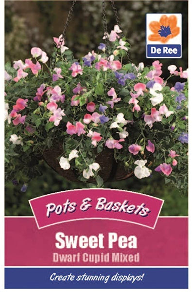 Sweet Pea Dwarf Cupid Mixed Sweet Pea Dwarf Cupid Mixed