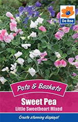Sweet Pea Little Sweetheart Mixed