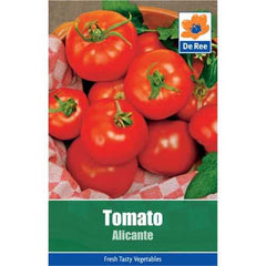 Tomato Alicante