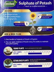 Sulphate of Potash Sulphate of Potash