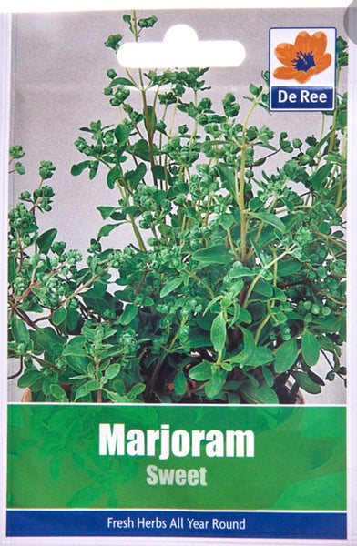 Marjoram Sweet Marjoram Sweet