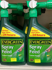 Evergreen spray & feed