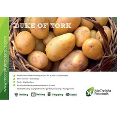 Duke of York seed Potatoes 2kg