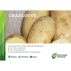 Charlotte Seed Potatoes 2kg