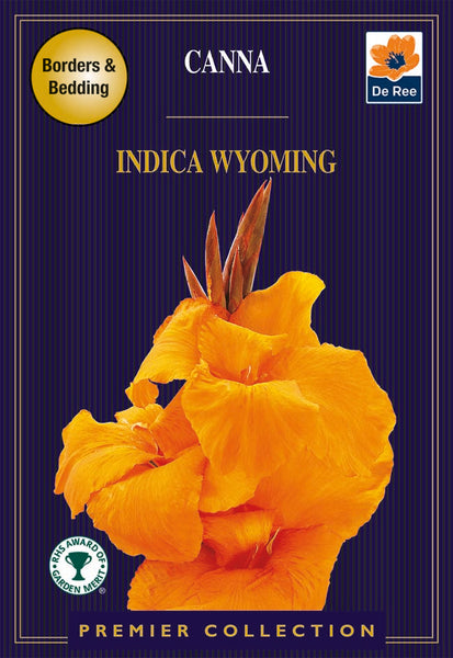 Canna Indica Wyoming