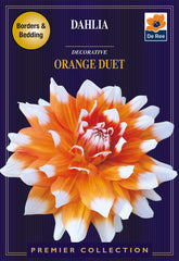 Dahlia Decorative Orange Duet
