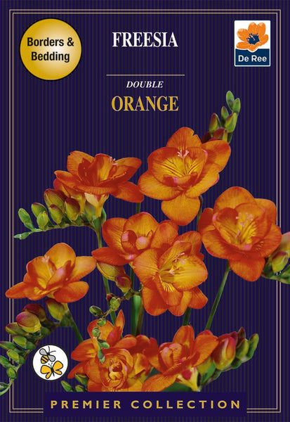 Freesia Double Orange