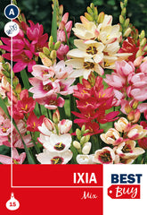 Ixia Mixed