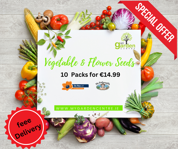 Vegetable & Flower Bundle
