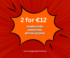 Potatoes 2 for €12.00