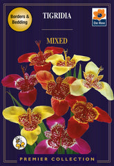 Tigridia Mixed