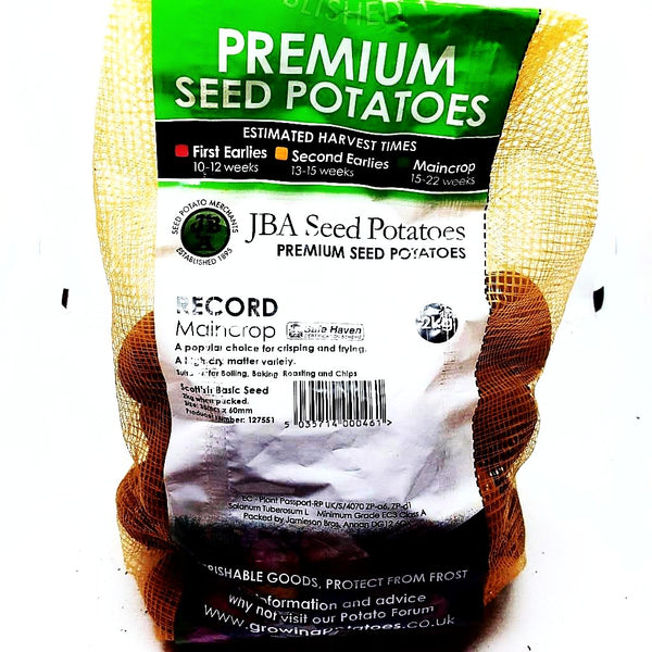 Record Potatoes