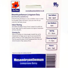 Mesembryanthemum Livingstone Daisy