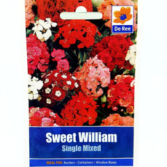 Sweet William Single Mixed