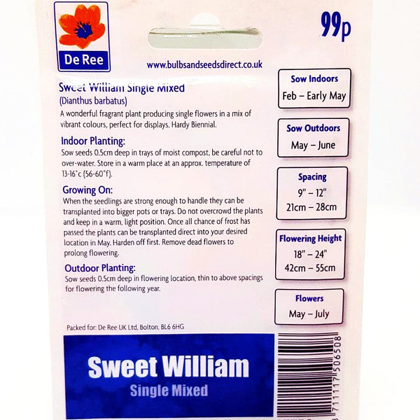 Sweet William Single Mixed