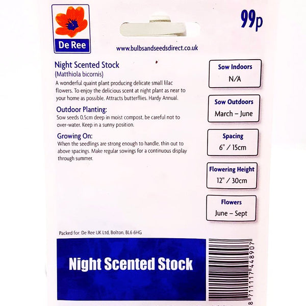 Night Scented Stock