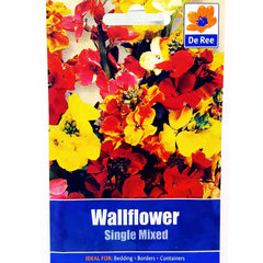 Wallflower Single Mixed