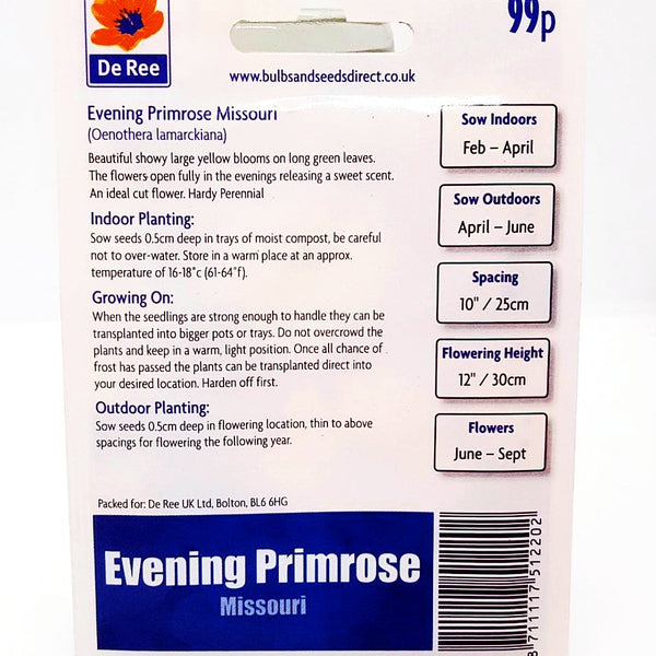 Evening Primrose Missouri