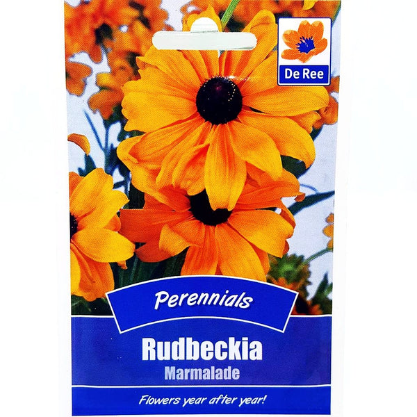 Rudbeckia Marmalade