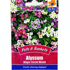 Alyssum Magic Circle Mixed