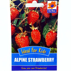 De Ree Alpine Strawberry