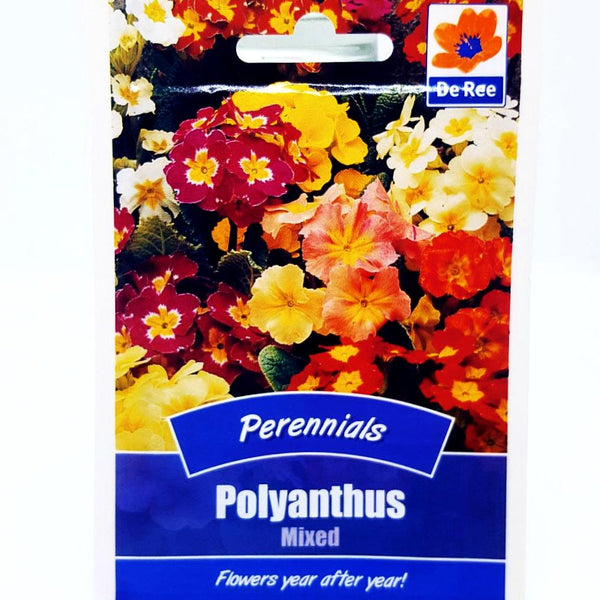 Polyanthus mixed