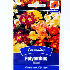 Polyanthus Mixed