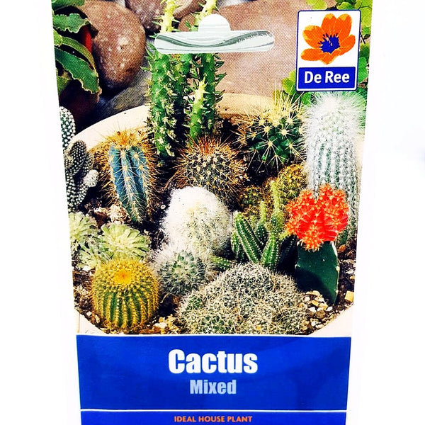 De Ree Cactus