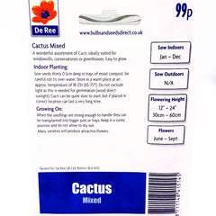 Cactus